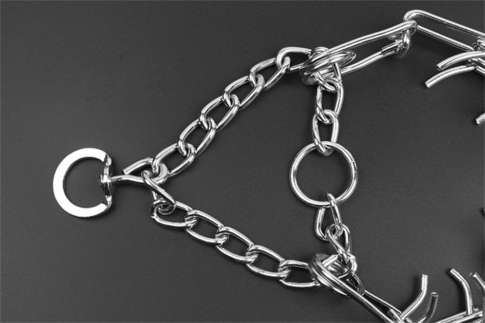 Entraînement chien : collier à pic ajustable, contrôle efficace sans douleur.