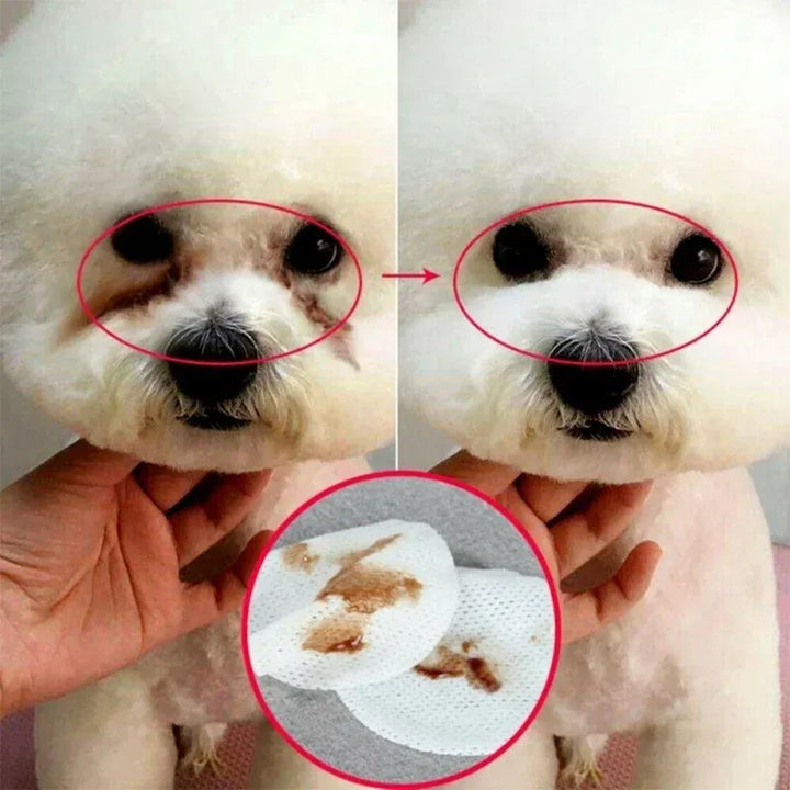 Soin des yeux : 130 lingettes nettoyantes douces pour chiens et chats. Maintient la propreté des yeux des animaux.