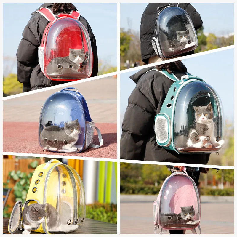 Sac de transport PetRoyale pour chaton. Vue transparente, aération et sécurité. Idéal pour premières sorties.