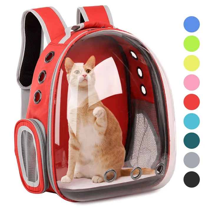 Cage de transport transparente PetRoyale pour petits animaux. Aération optimale et vue dégagée pour le bien-être.