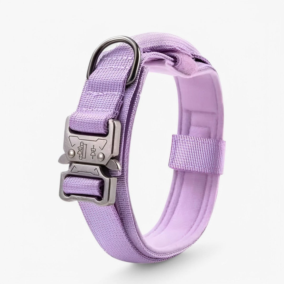 Collier tactique TACTICALK9, alternative durable au harnais pour les promenades et le dressage du chien.