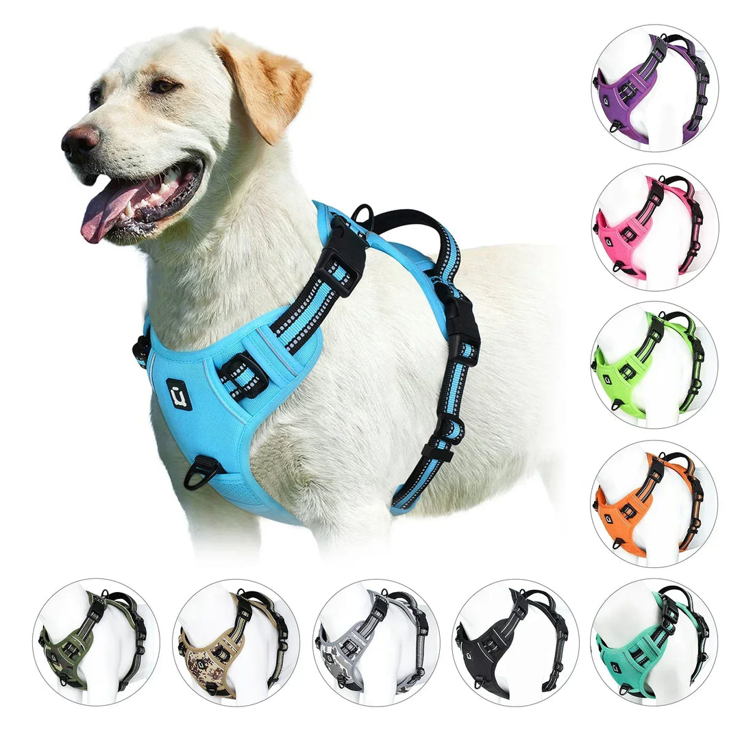 Harnais chien anti-tirage réglable, offrant confort et contrôle optimal pour des balades agréables.