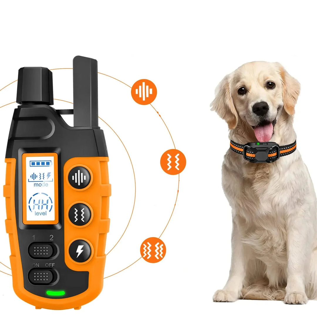 Kit de collier de dressage rechargeable pour chiot et chien, favorisant un comportement positif.