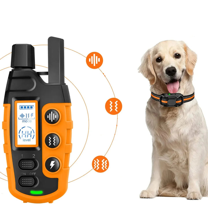 Kit de collier de dressage rechargeable pour chiot et chien, favorisant un comportement positif.