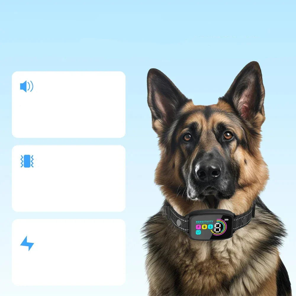 Un chien portant le collier anti-aboiement automatique rechargeable, favorisant une éducation sereine.