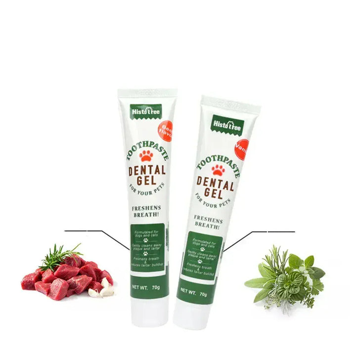 Gel dentaire essentiel pour l'entretien des animaux, protégeant les dents des chiens et chats.