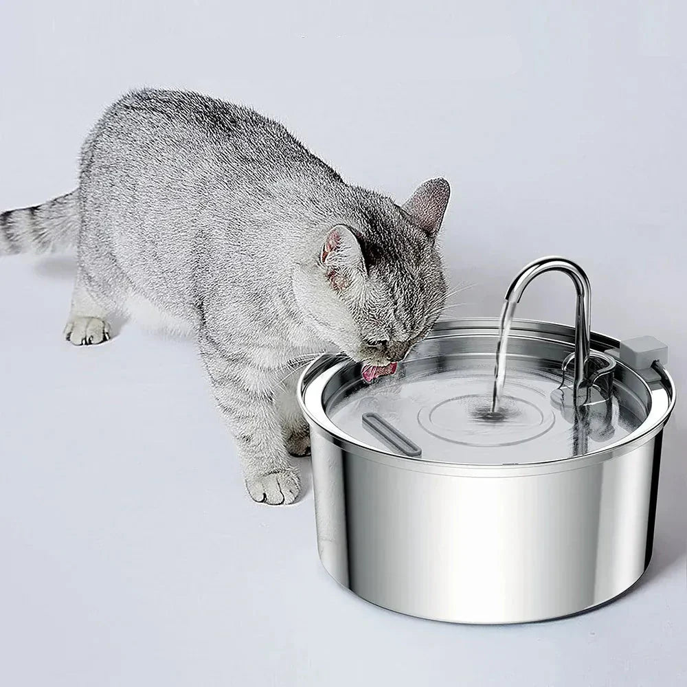Fontaine à eau en acier inoxydable pour chats et petits chiens, favorise une hydratation saine et continue.