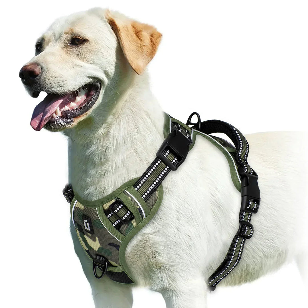 Harnais anti-traction pour chien de toutes tailles, assurant un contrôle facile et un ajustement confortable.