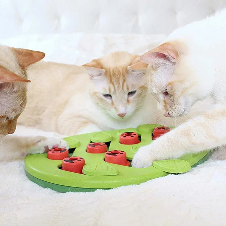 Détail du jouet puzzle interactif pour chat, avec compartiments à friandises, idéal pour la stimulation mentale.