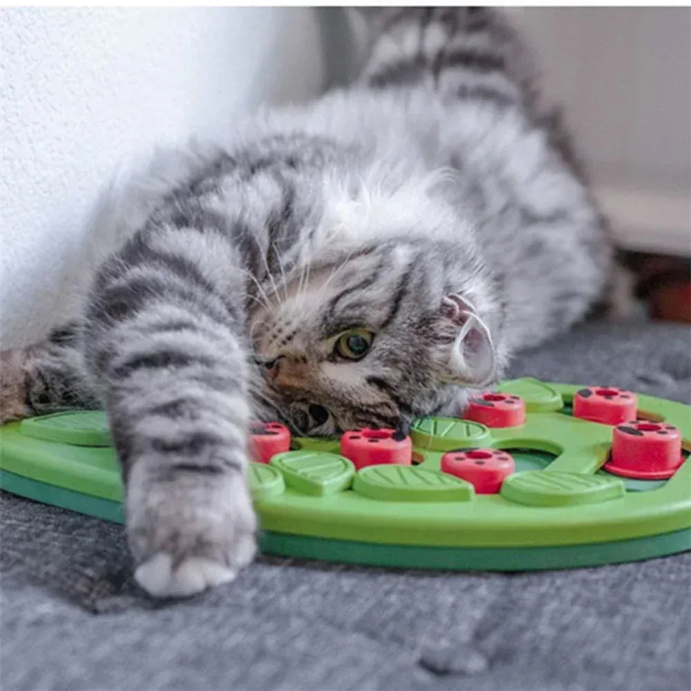 Puzzle interactif et distributeur de friandises pour chat, stimulant mental qui encourage l'alimentation lente.