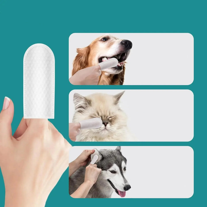 Accessoires de soin : lingettes dentaires à doigt pour un nettoyage facile des dents de chien et chat. Hygiène animale.