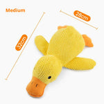 Canard moyen