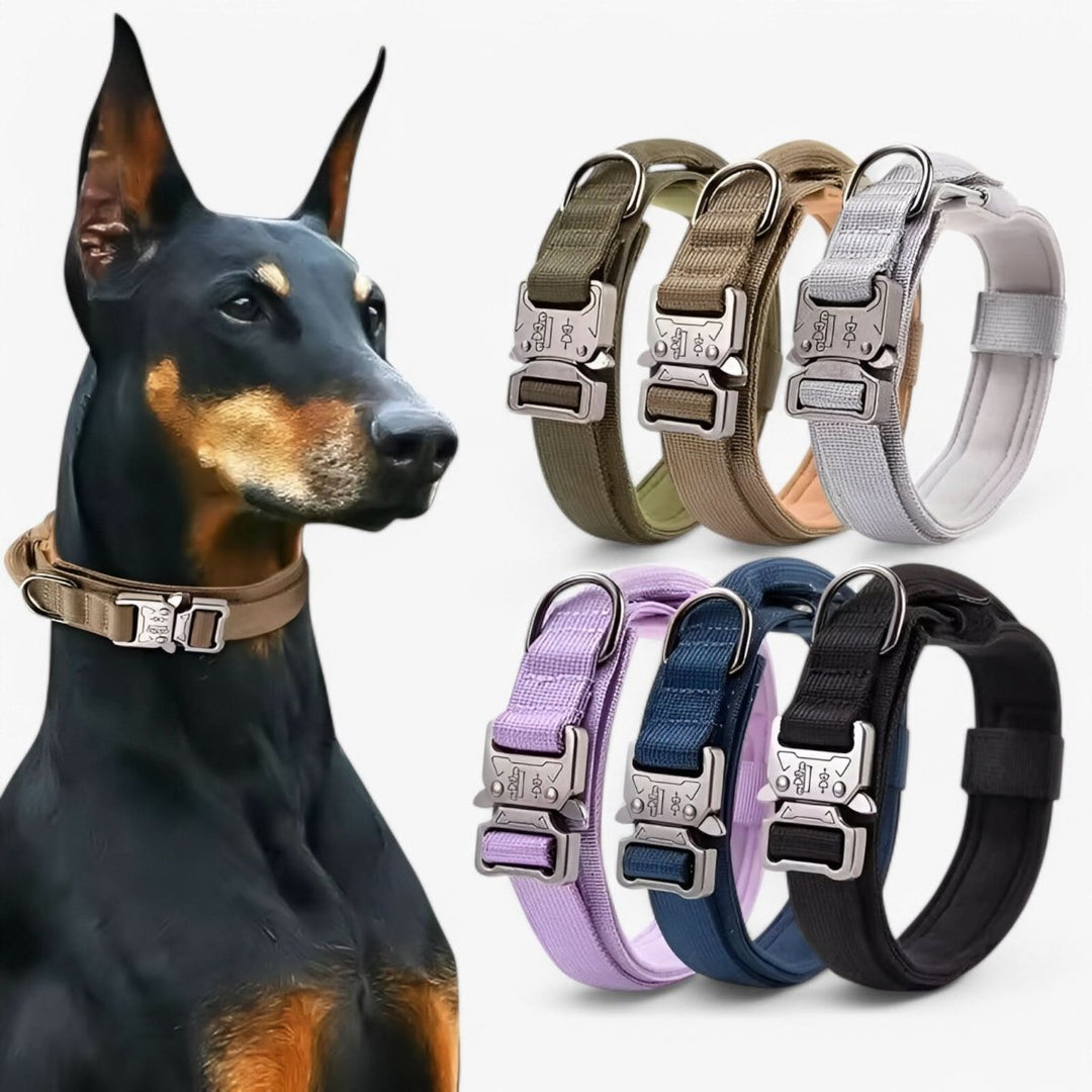 Collier ajustable TACTICALK9 pour chien, offrant confort et contrôle pour l'entraînement et le quotidien.