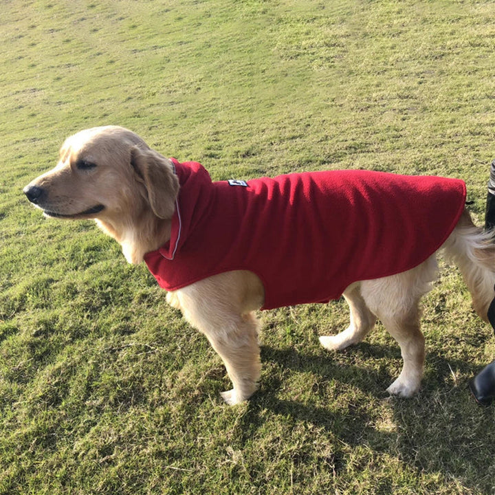 Veste chien réfléchissante pour sécurité nocturne, protection froid et pluie. Parfaite pour la promenade.