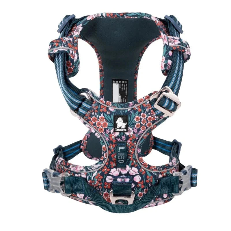 Harnais pour animaux de compagnie, ajustable. Confort et sécurité pour toutes vos aventures.