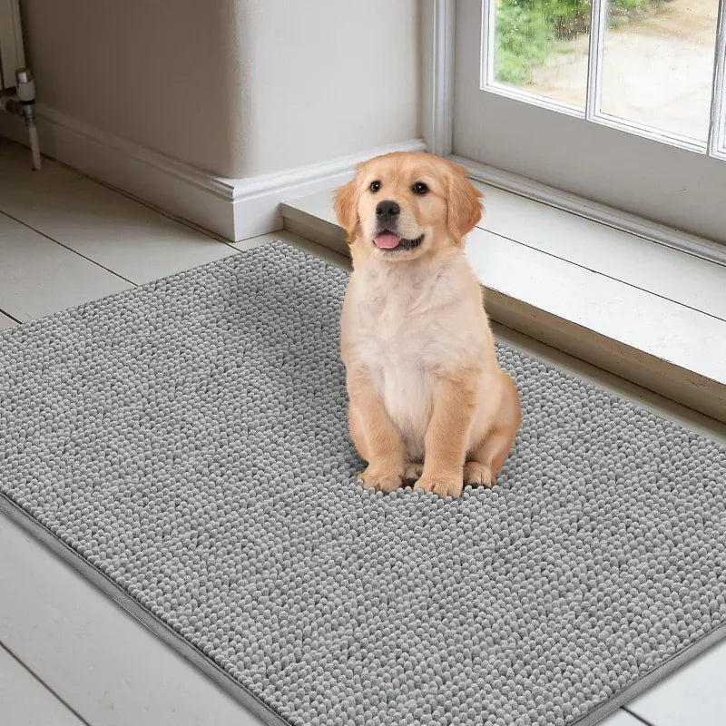Accessoire essentiel : tapis PawDry absorbant et antidérapant pour chien, pour une maison toujours propre.