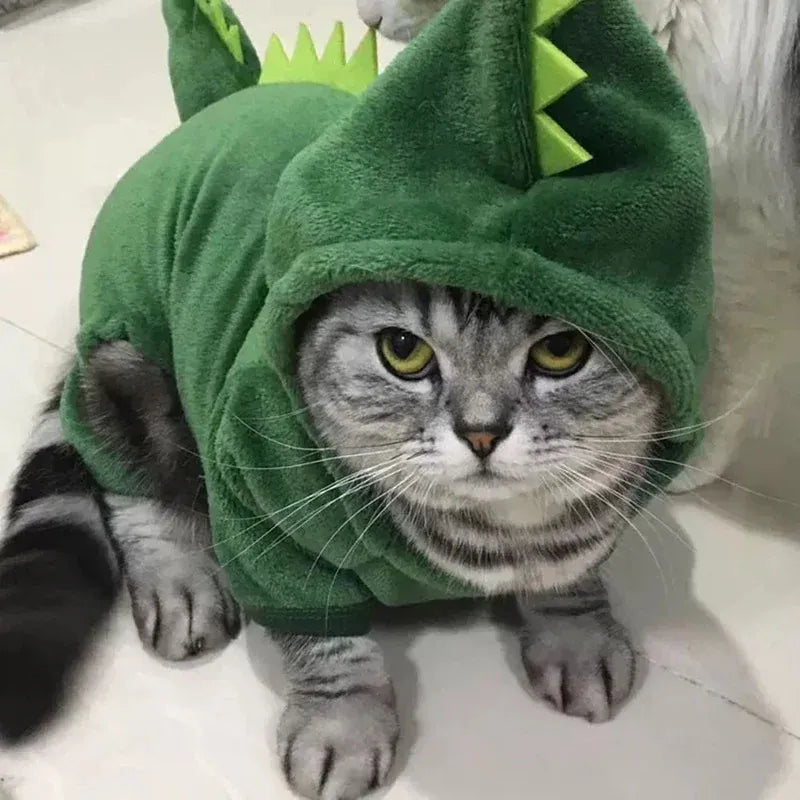 Adorable déguisement dinosaure polaire pour chat ou chiot. Chaud, confortable, idéal pour les fêtes d'hiver ou Halloween.