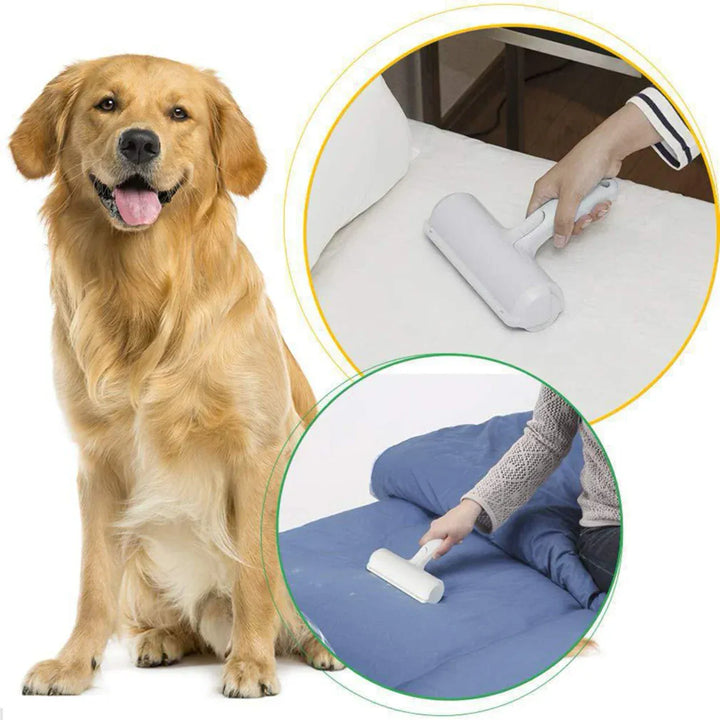 Brosse pour éliminer les poils de chien et chat sur meubles et tissus. Outil de nettoyage maison réutilisable.