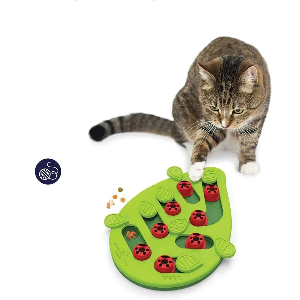Jouet puzzle interactif pour chat contre l'ennui, favorisant l'alimentation lente et la stimulation mentale avec friandises.