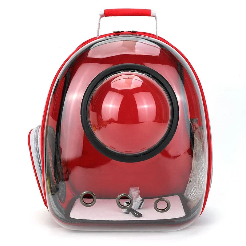 Voyagez sereinement avec le sac de transport transparent PetRoyale pour chats et petits chiens. Sécurisé.
