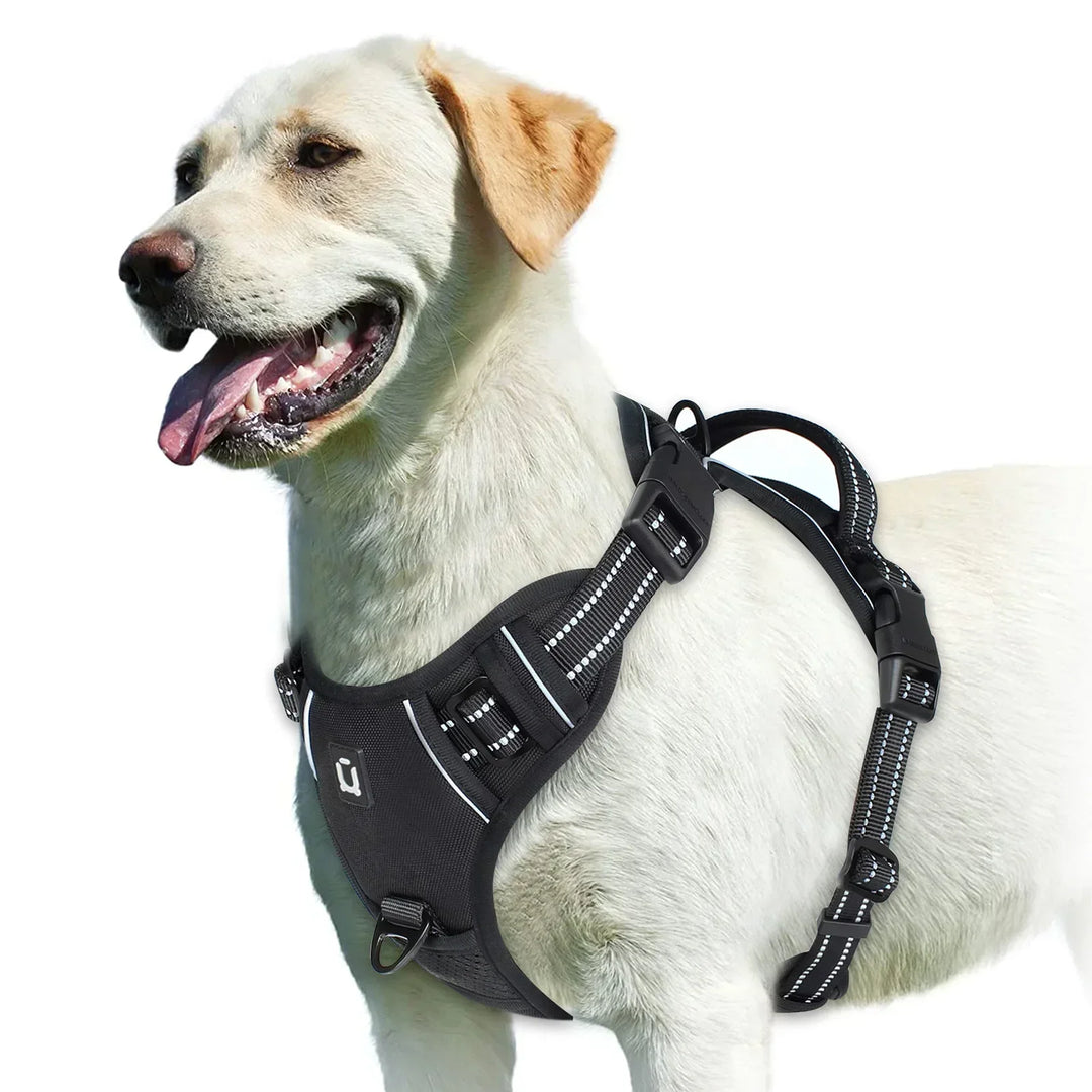 Harnais ajustable pour un confort parfait de votre chien. Système anti-tirage efficace pour toutes les sorties.