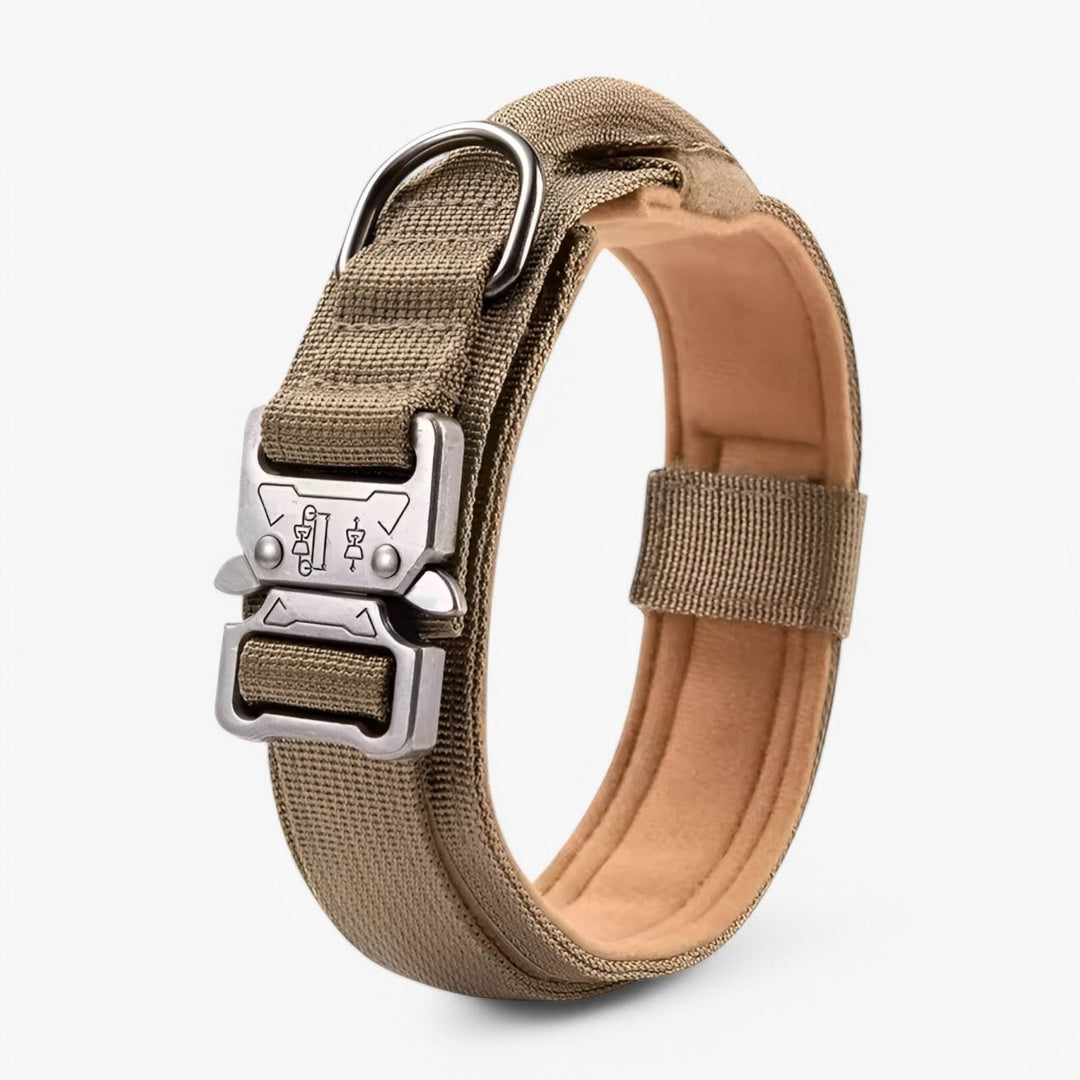 Collier ajustable TACTICALK9 en nylon résistant pour chien, idéal pour un contrôle accru et un confort optimal.