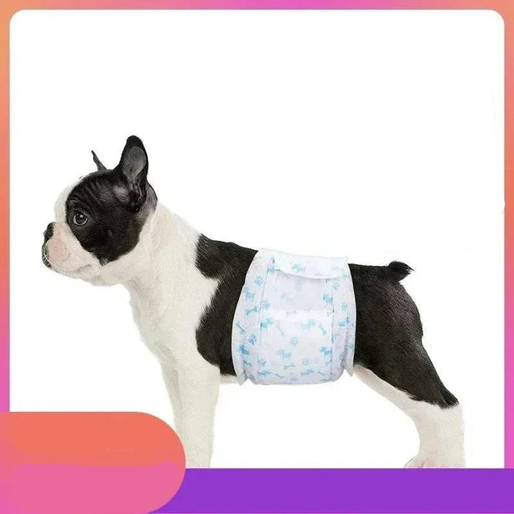 Couches jetables pour chien, ultra absorbantes, garantissent une hygiène parfaite et un voyage serein.