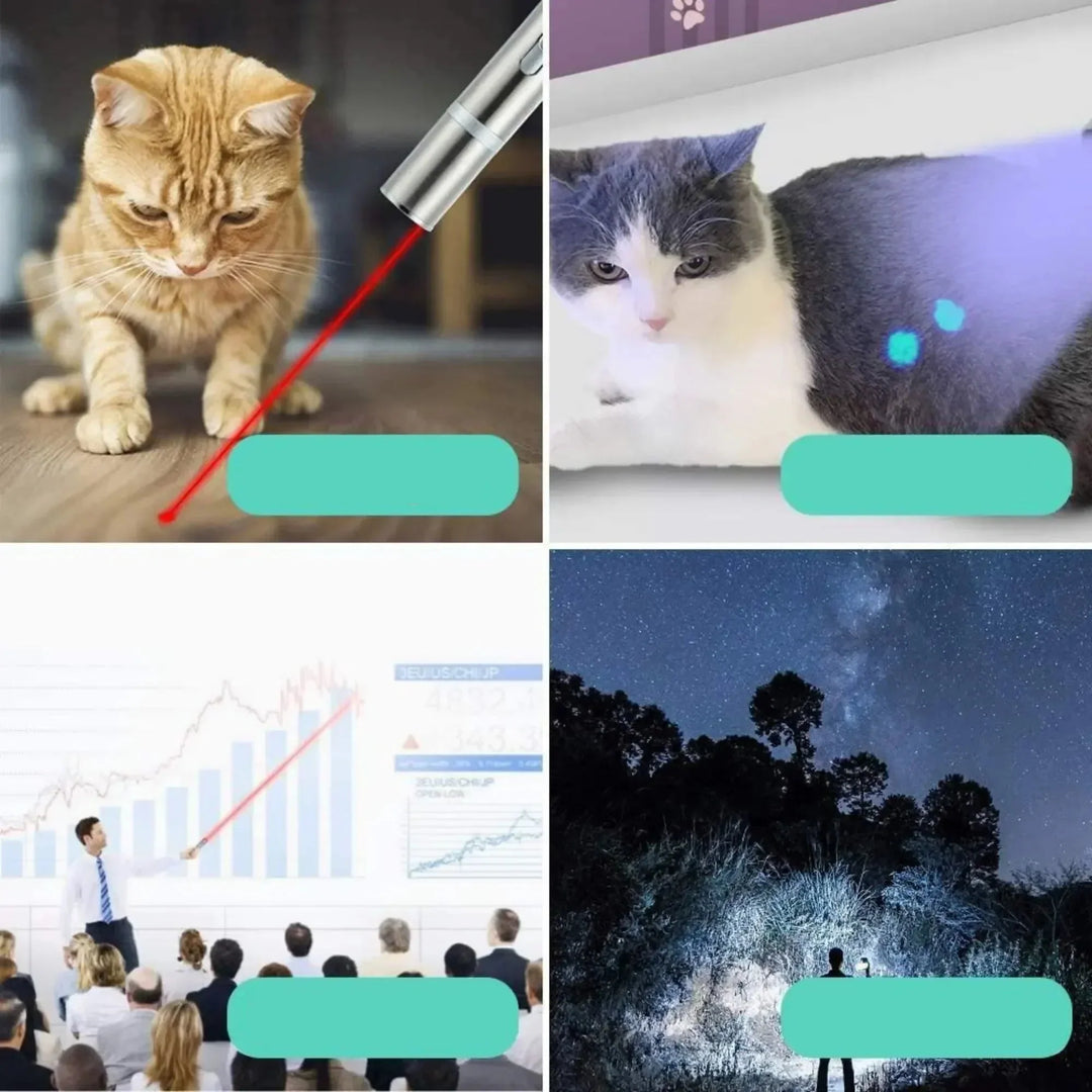 Jouet interactif et rechargeable pour chat, un laser avec plusieurs motifs pour le jeu et la chasse.