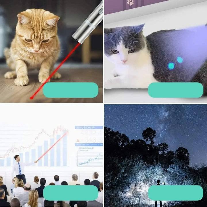 Jouet interactif et rechargeable pour chat, un laser avec plusieurs motifs pour le jeu et la chasse.