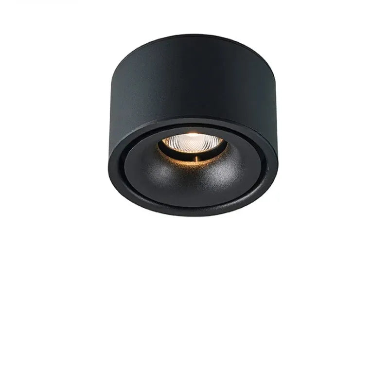 Spot LED encastré en aluminium brossé, durabilité et design moderne pour un éclairage de plafond sophistiqué.