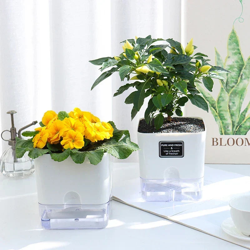Pot de fleurs autonome blanc, idéal plantes d'intérieur. Entretien facile, arrosage intelligent pour bureau.