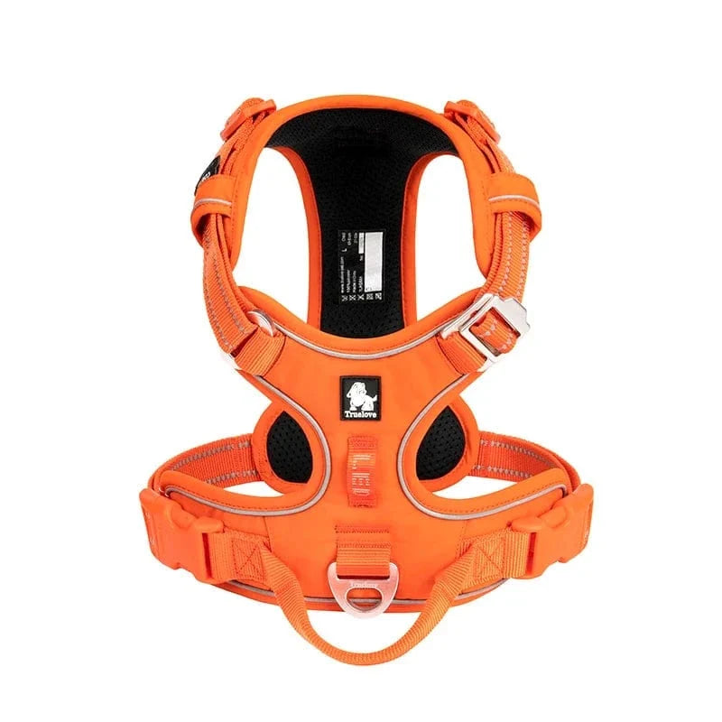 Harnais pour éducation canine, ajustable. Confort et sécurité pour un apprentissage efficace.