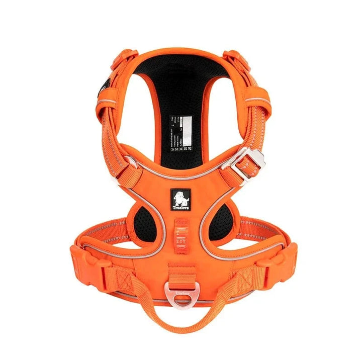 Harnais pour éducation canine, ajustable. Confort et sécurité pour un apprentissage efficace.