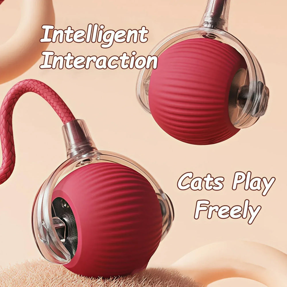 Jouet chat interactif pour stimuler les félins. Balle intelligente en silicone pour des heures de jeu.