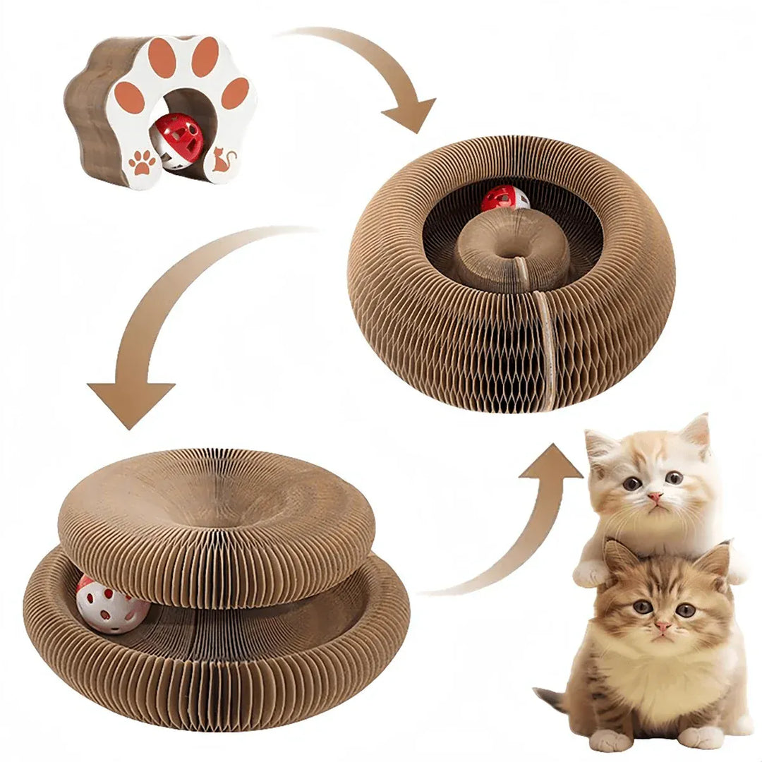 Grattoir interactif pliable pour chat, protège les meubles des griffes. Jouet durable et compact.