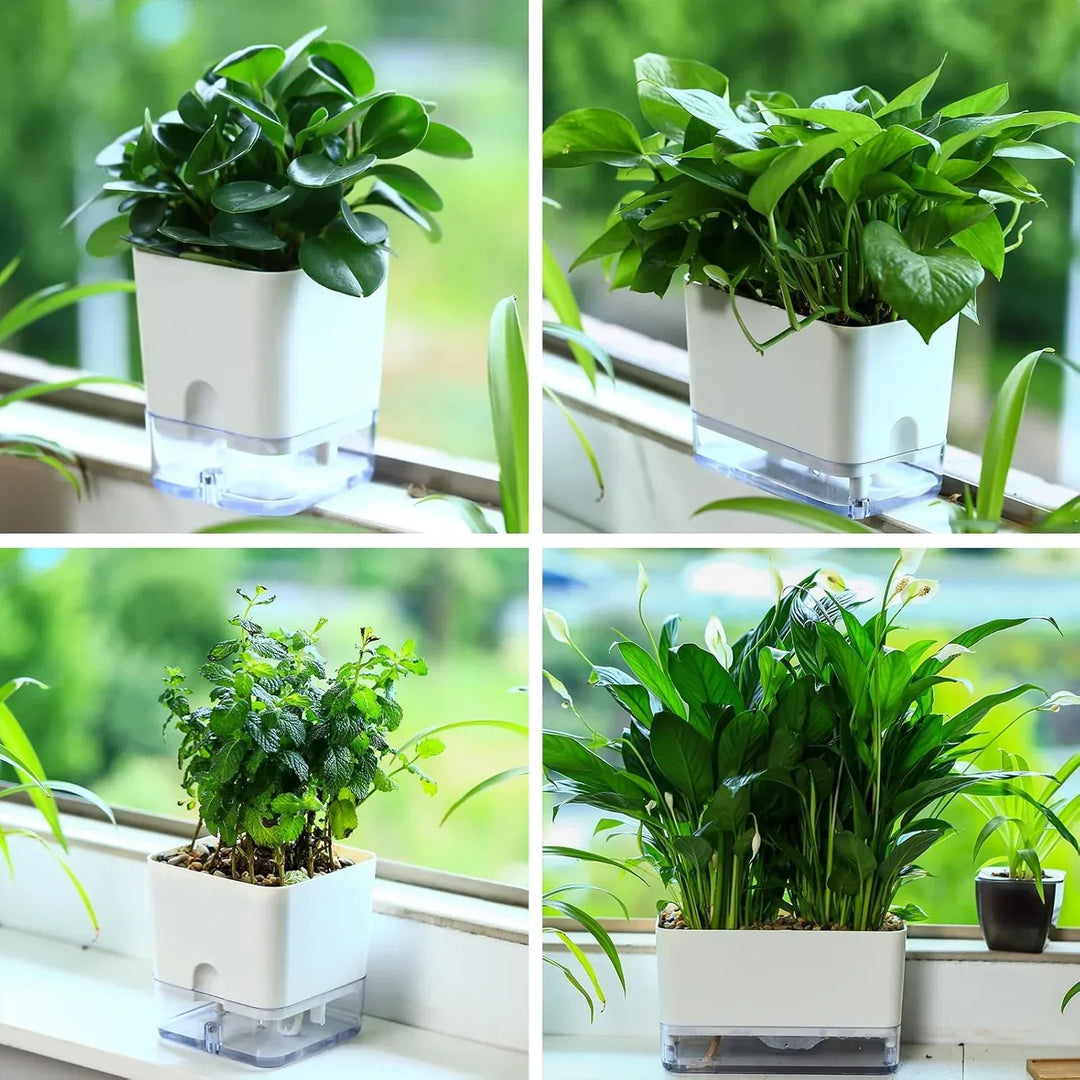Pot de fleurs autonome blanc, arrosage smart. Parfait pour plantes d'intérieur, décoration bureau ou fenêtre.