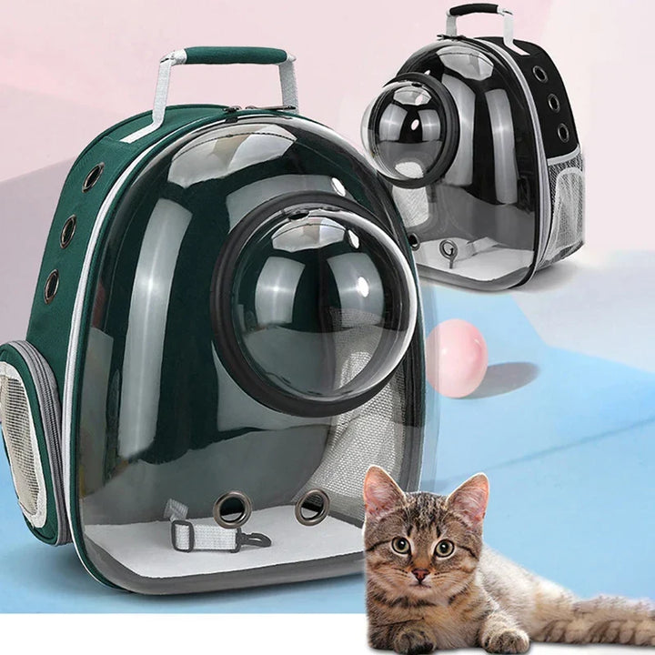 Sac de transport transparent PetRoyale pour chat. Vue panoramique, aéré, sûr et confortable pour les voyages.