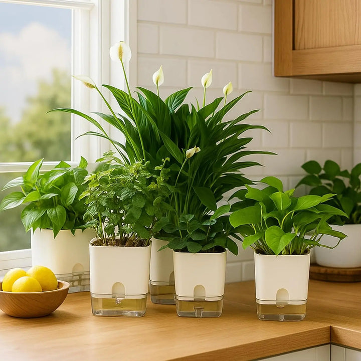 Pot de fleurs autonome pour plantes d'intérieur. Arrosage constant, entretien facile. Idéal pour vos végétaux.