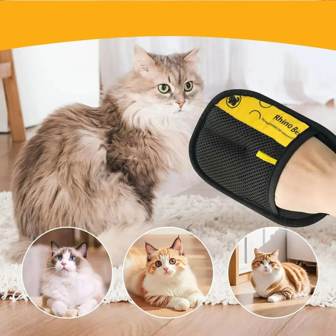 Enlevez facilement poils de chien et chat sur textiles, tapis, canapés avec cette brosse anti-poils réutilisable.