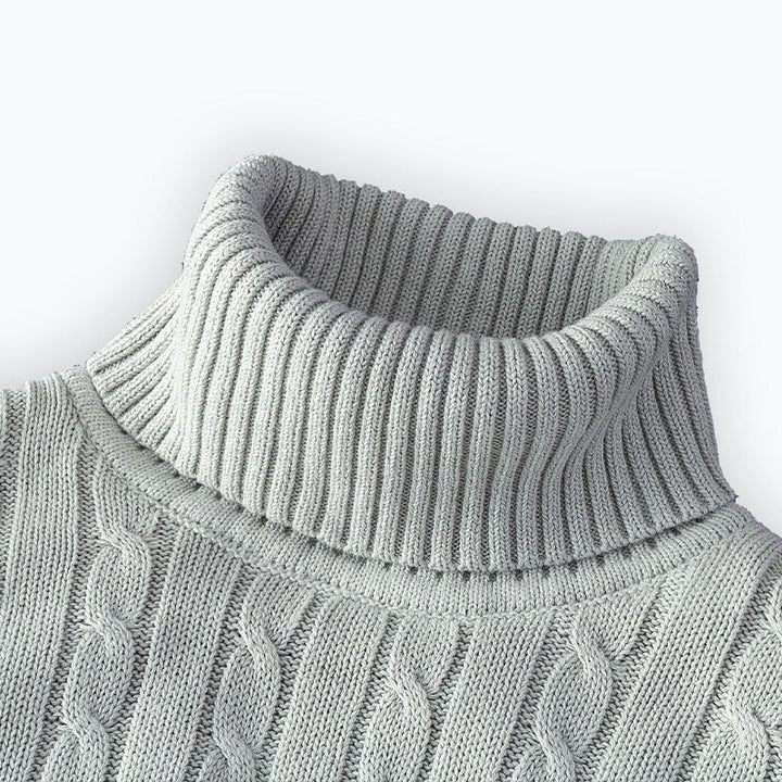 Pull col roulé homme tricoté, coupe classique et confortable, idéal pour un hiver chic et masculin.