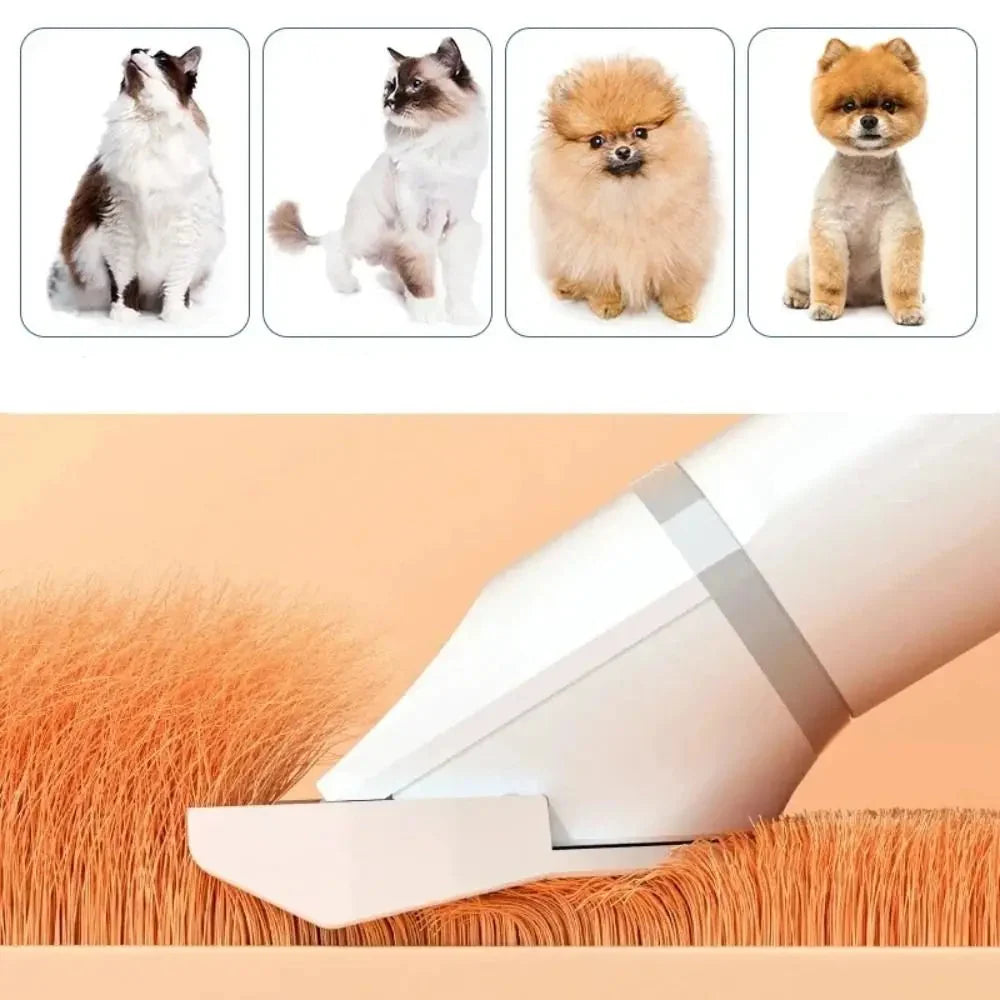 Tondeuse silencieuse sans fil pour chien/chat, lame inox, chargement USB-C. Toilettage précis et facile à domicile.