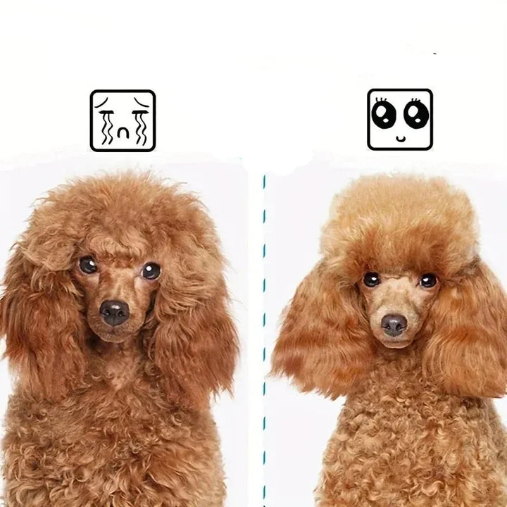 Détail brosse auto-nettoyante pour animaux. Picots doux et bouton de nettoyage. Toilettage chien/chat, hygiène.