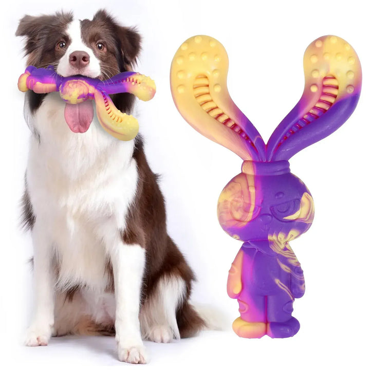Jouet dentaire saveur bœuf pour chien, conçu pour chiots et adultes, très résistant.