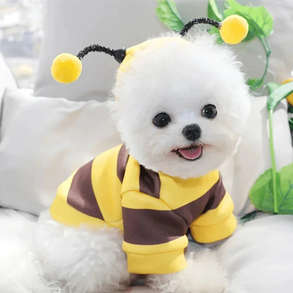 Déguisement abeille rayé noir et jaune pour chien ou chat, pour une fête, Halloween ou cosplay mignon.
