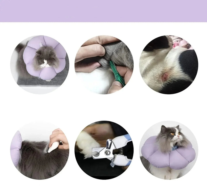 Collerette de protection pour chat en tissu doux, ajustable pour un confort optimal pendant la récupération.