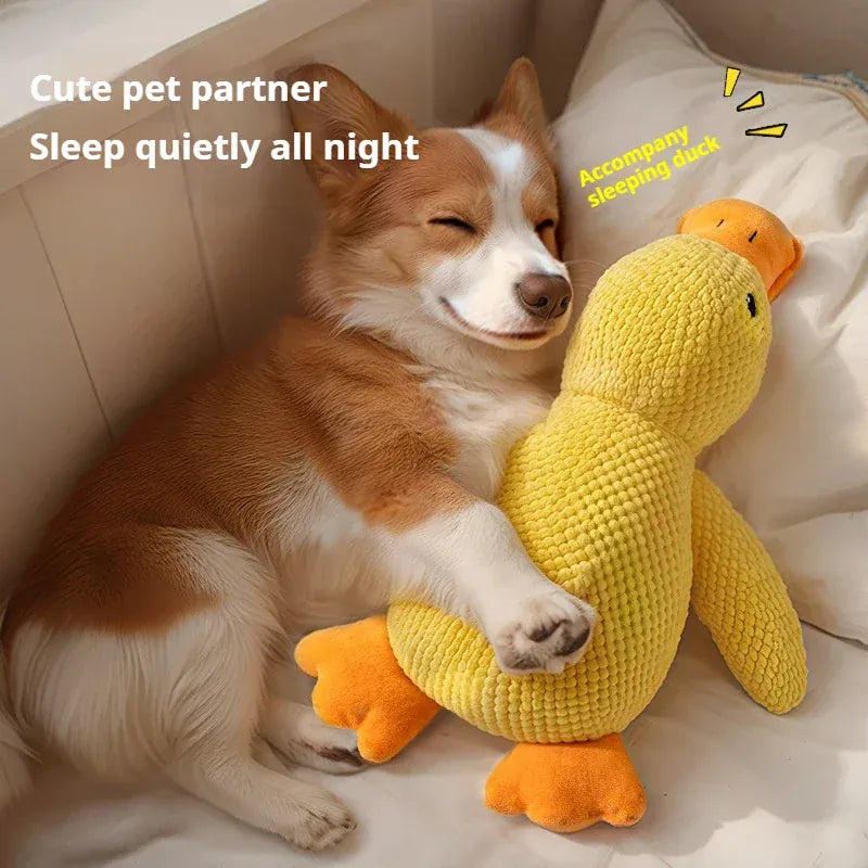 Jouet canard sonore durable pour chien, idéal pour le jeu et la mastication anti-stress.