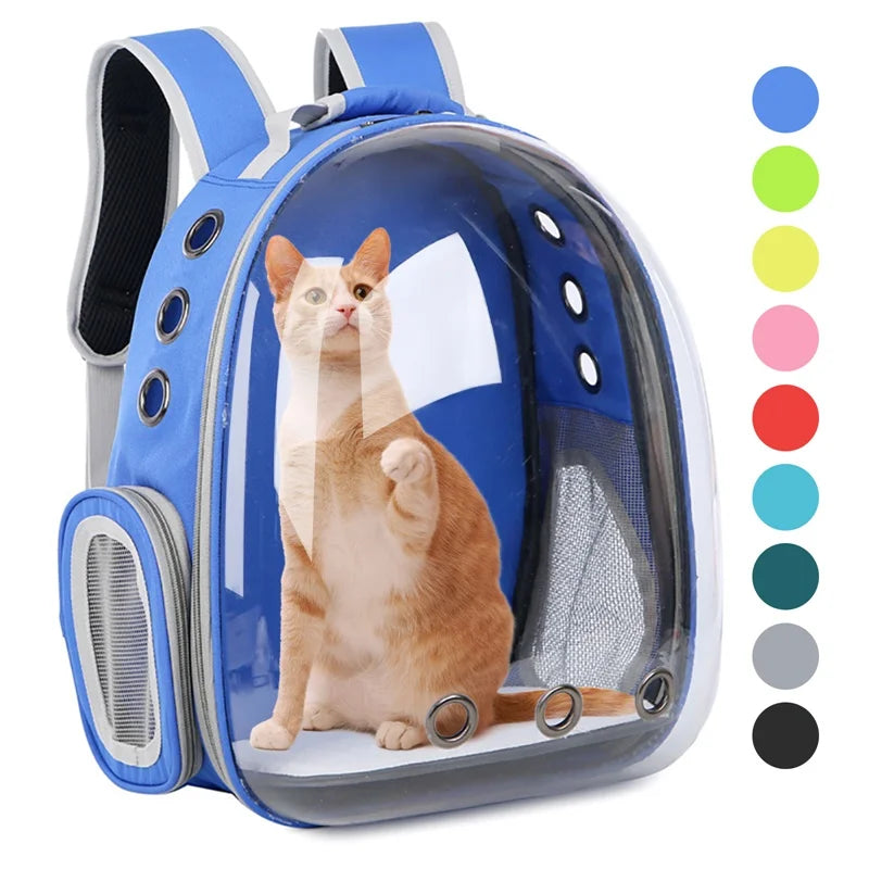 Accessoire PetRoyale : sac transparent aéré pour chats et chiots. Idéal pour voyage et visite vétérinaire.