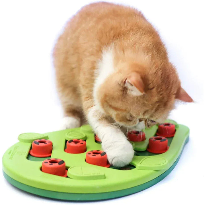 Jouet puzzle interactif pour chat, distributeur de friandises, offre stimulation mentale et combat l'ennui.