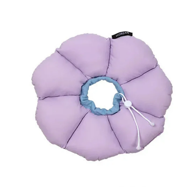 Collier de récupération félin. Collerette de protection anti-léchage ajustable pour le confort de votre chat.