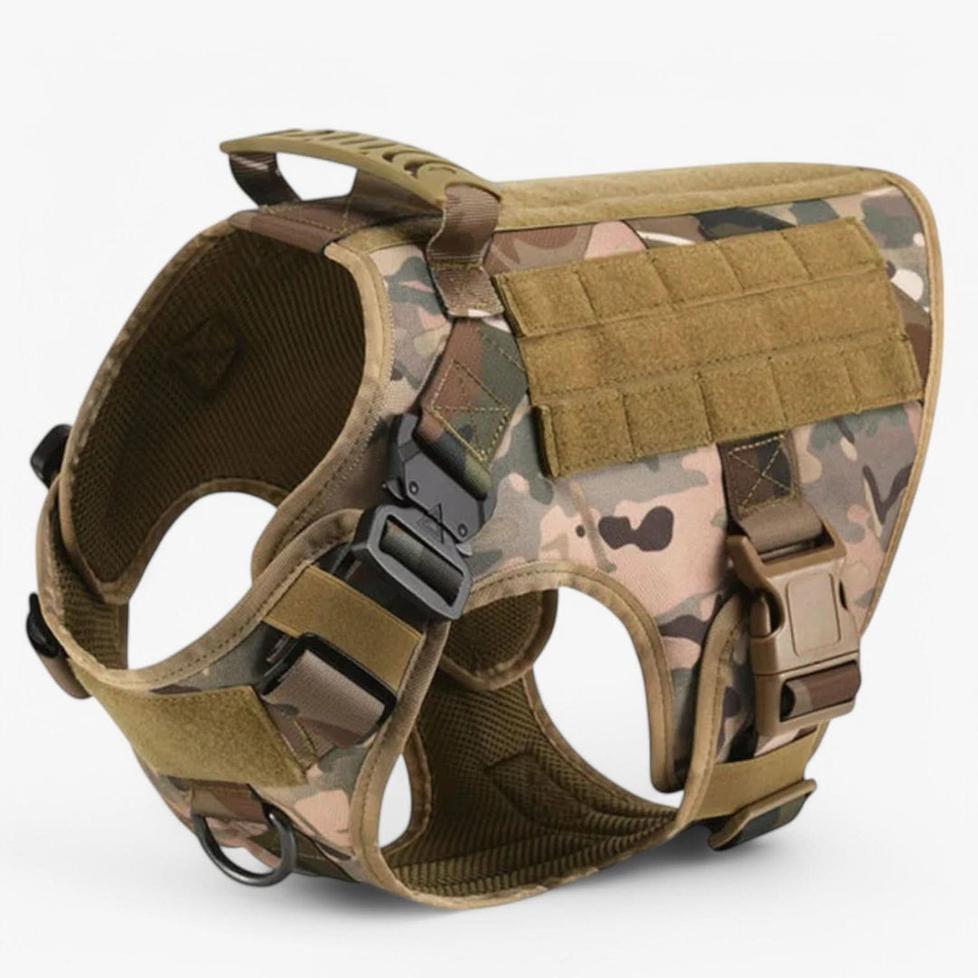 Harnais robuste pour chien, matériau résistant, durabilité assurée pour entraînement intensif.